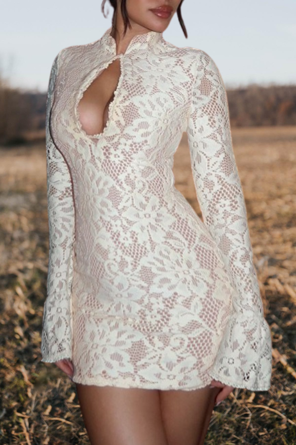 Lace Keyhole Mini Dress