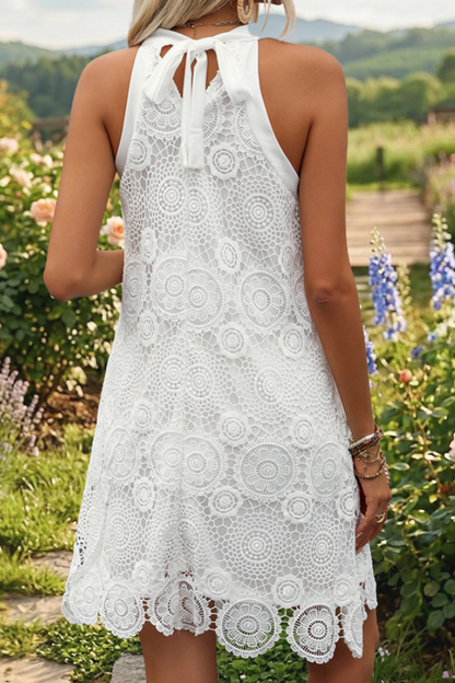 Halter Neck Lace Mini Shift Dress