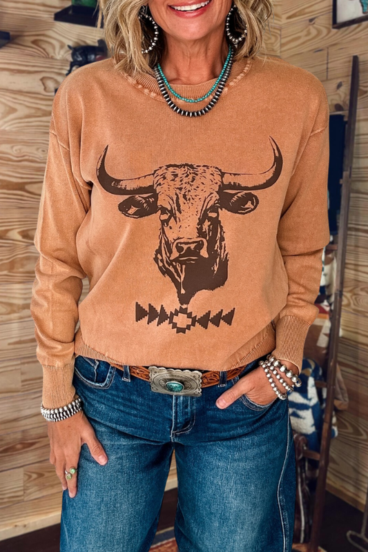 Western Steer Graphic Sweatshirt